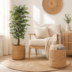 2-Piece Natural Water Hyacinth Wicker Storage Baskets for Laundry, Blankets & Home Decor